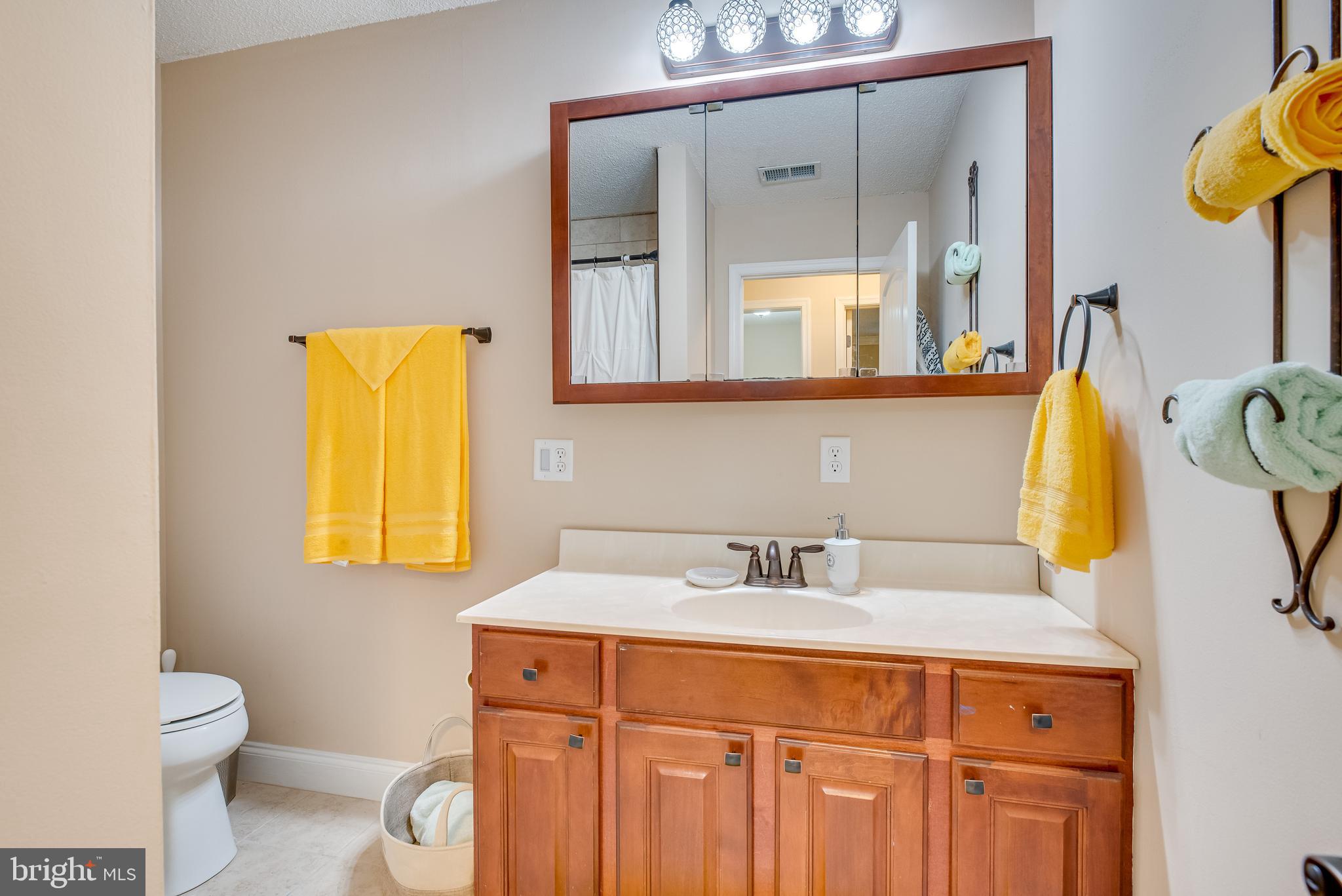 1453 Reunion Corner Road Gerrardstown, WV 25420 - Photo 40 of 51 Main Bathroom