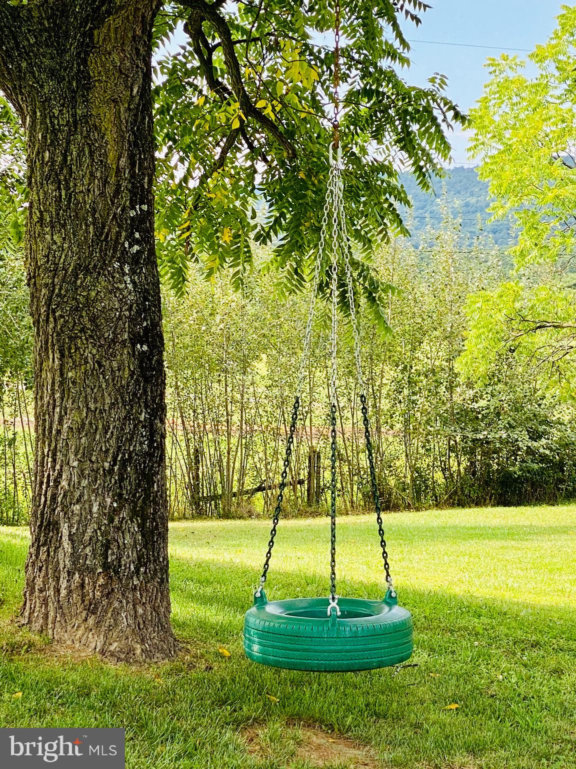 1453 Reunion Corner Road Gerrardstown, WV 25420 - Photo 5 of 51 Beautiful yard with mountain views