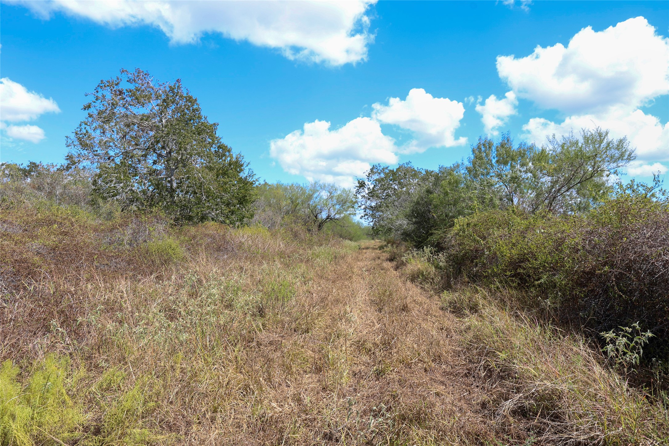 Tbd Parsons Road Victoria, TX 77904 - Photo 9 of 24 Gallery Image 9