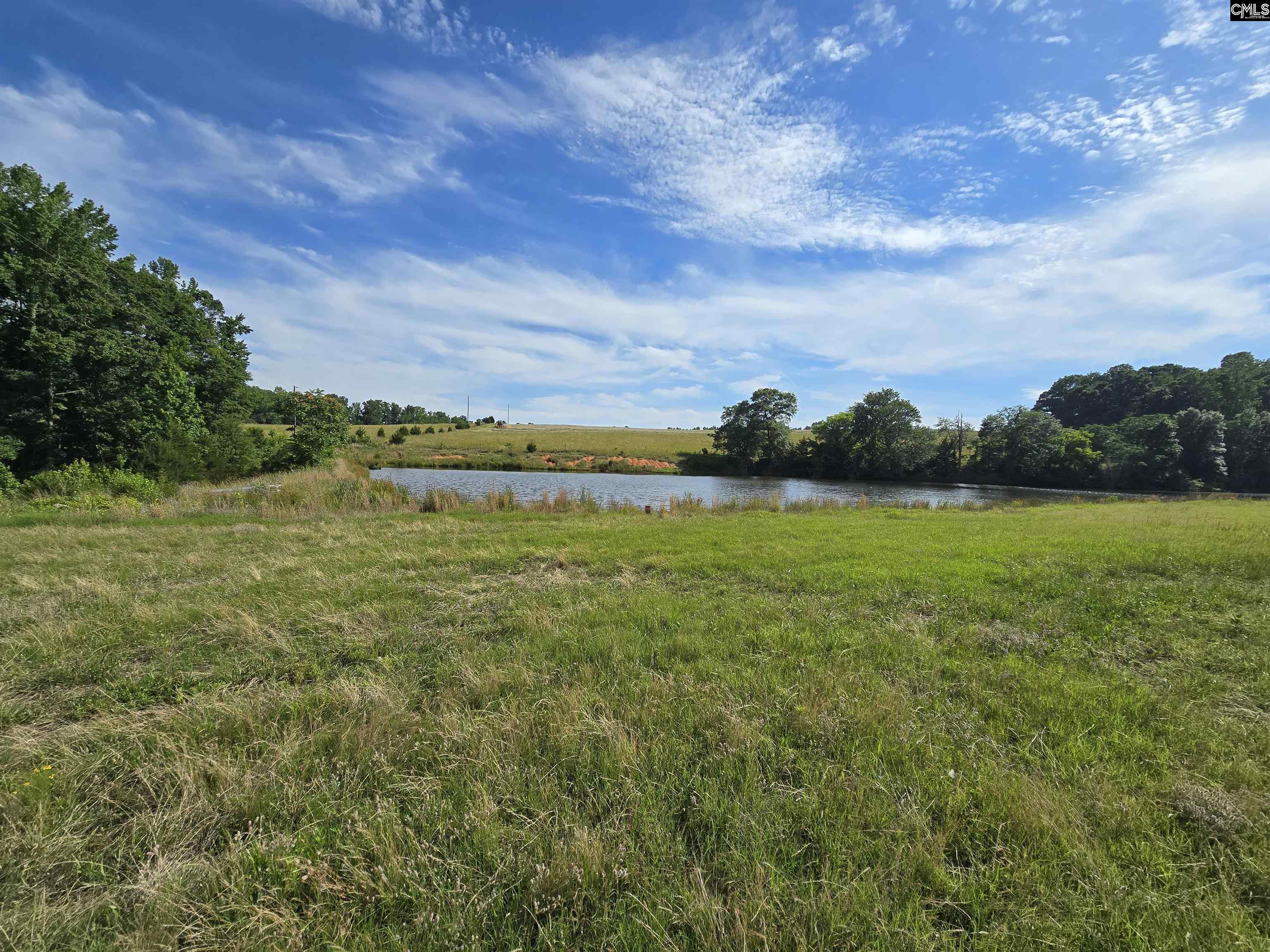 542 Pea Ridge Highway Jonesville, SC 29353 - Photo 64 of 72
