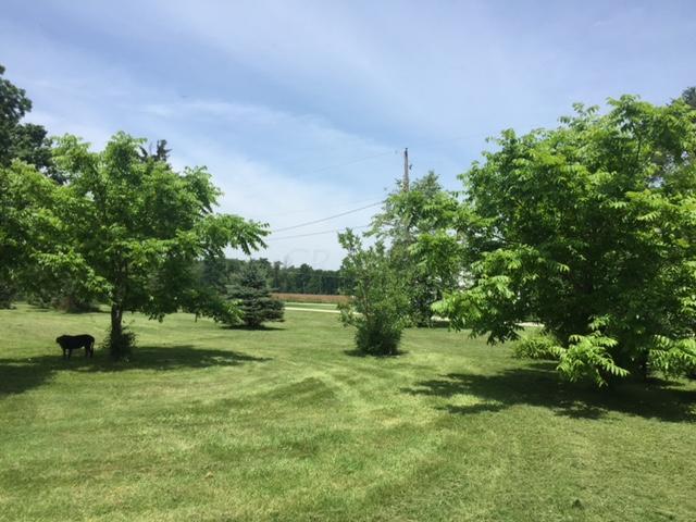 5646 Bowtown Road Delaware, OH 43015 - Photo 3 of 6