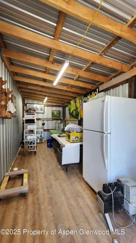 a view of a forest with trees in the background