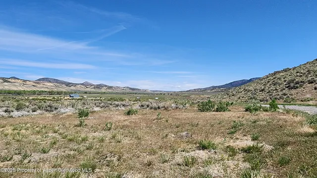 a view of a backyard with chairs