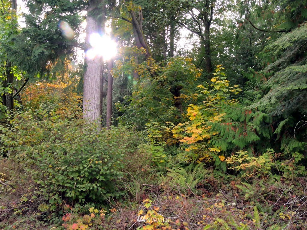 21357 President Point Road Northeast Kingston, WA 98346 - Photo 2 of 18 Gallery Image 2