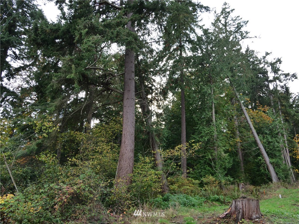 21357 President Point Road Northeast Kingston, WA 98346 - Photo 7 of 18 Gallery Image 7