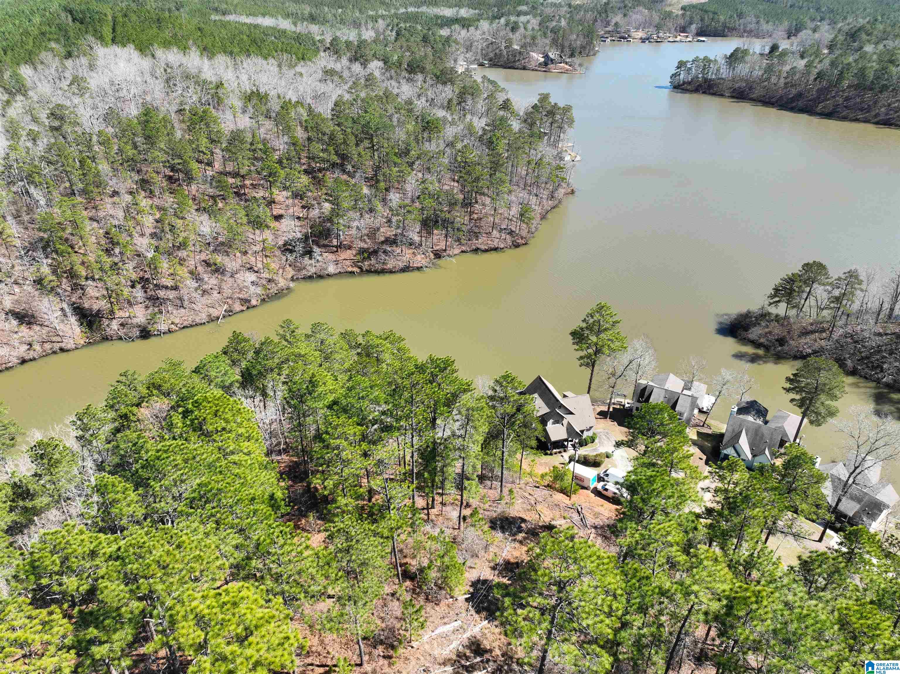 0 Preserve Road, Unit LOT 2 Rockford, AL 35136 - Photo 9 of 9