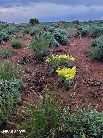 a view of mountains and mountain