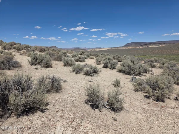a view of a dry yard with mountains in the background