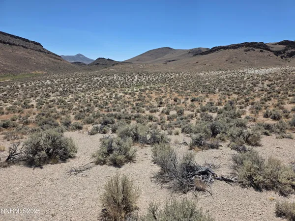 a view of a dry field