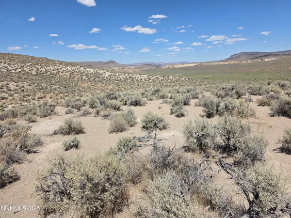 a view of a dry yard with mountains in the background