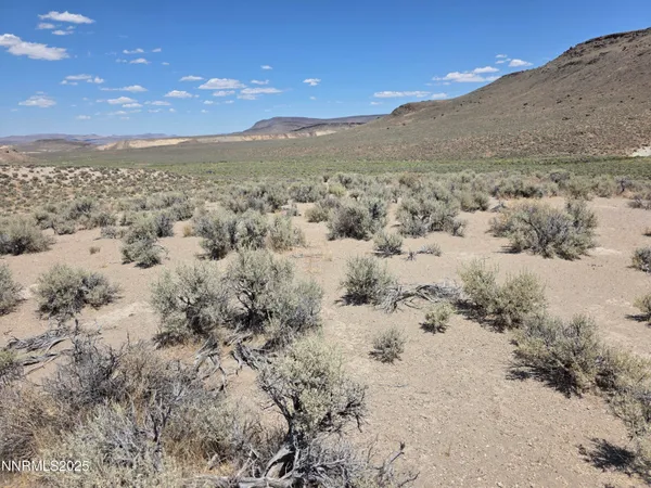a view of a dry field