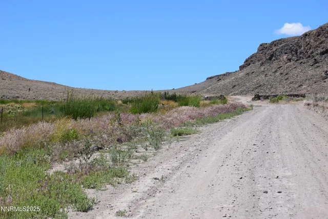 a view of a dry yard with mountains in the background