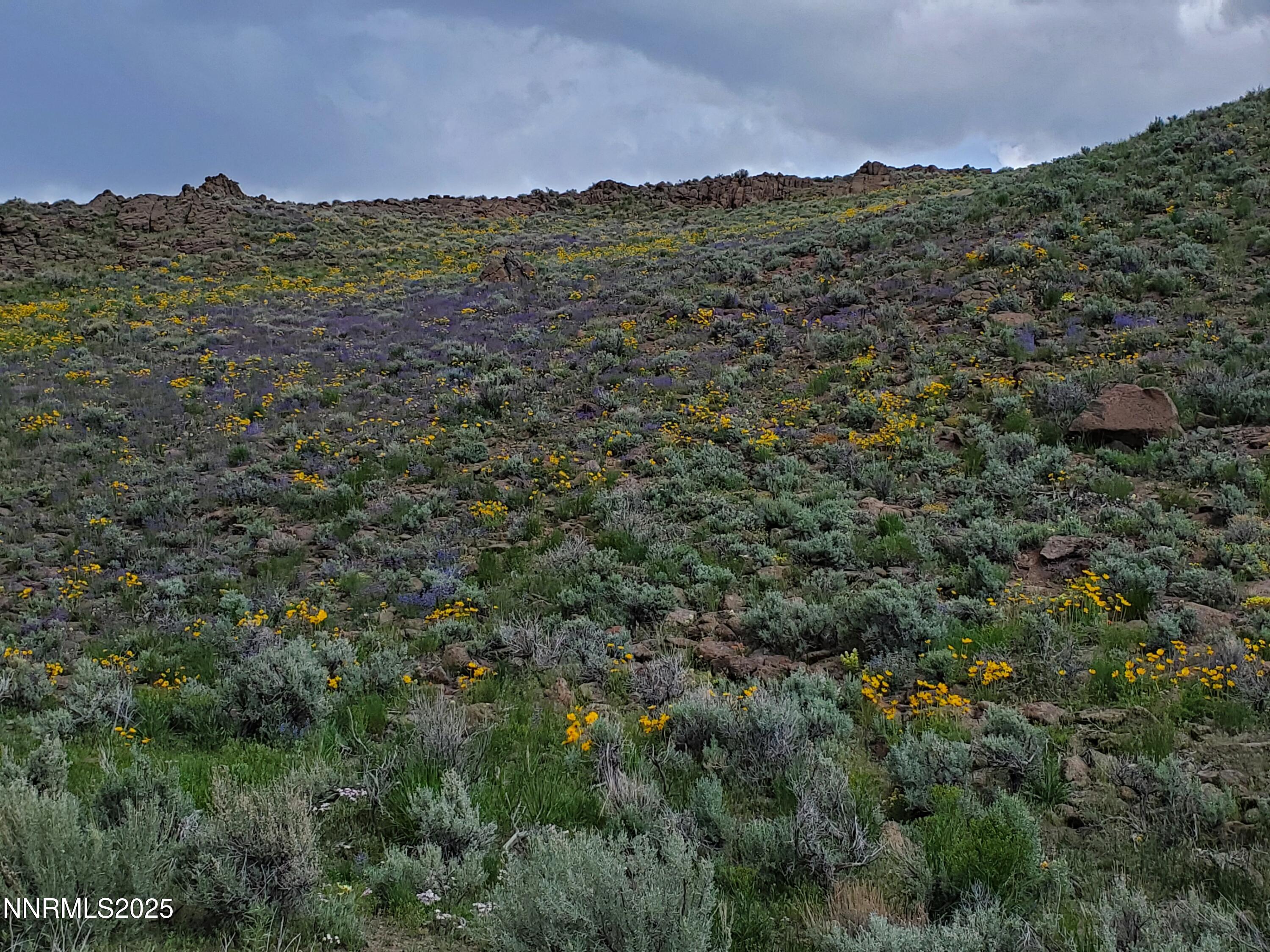 3301 High Rock Road, Unit US HIGHWAY 34 NORTH OUT OF GERLACH TO HIGH ROCK RD Reno, NV 89510 - Photo 8 of 47 a view of a city with mountains in the background