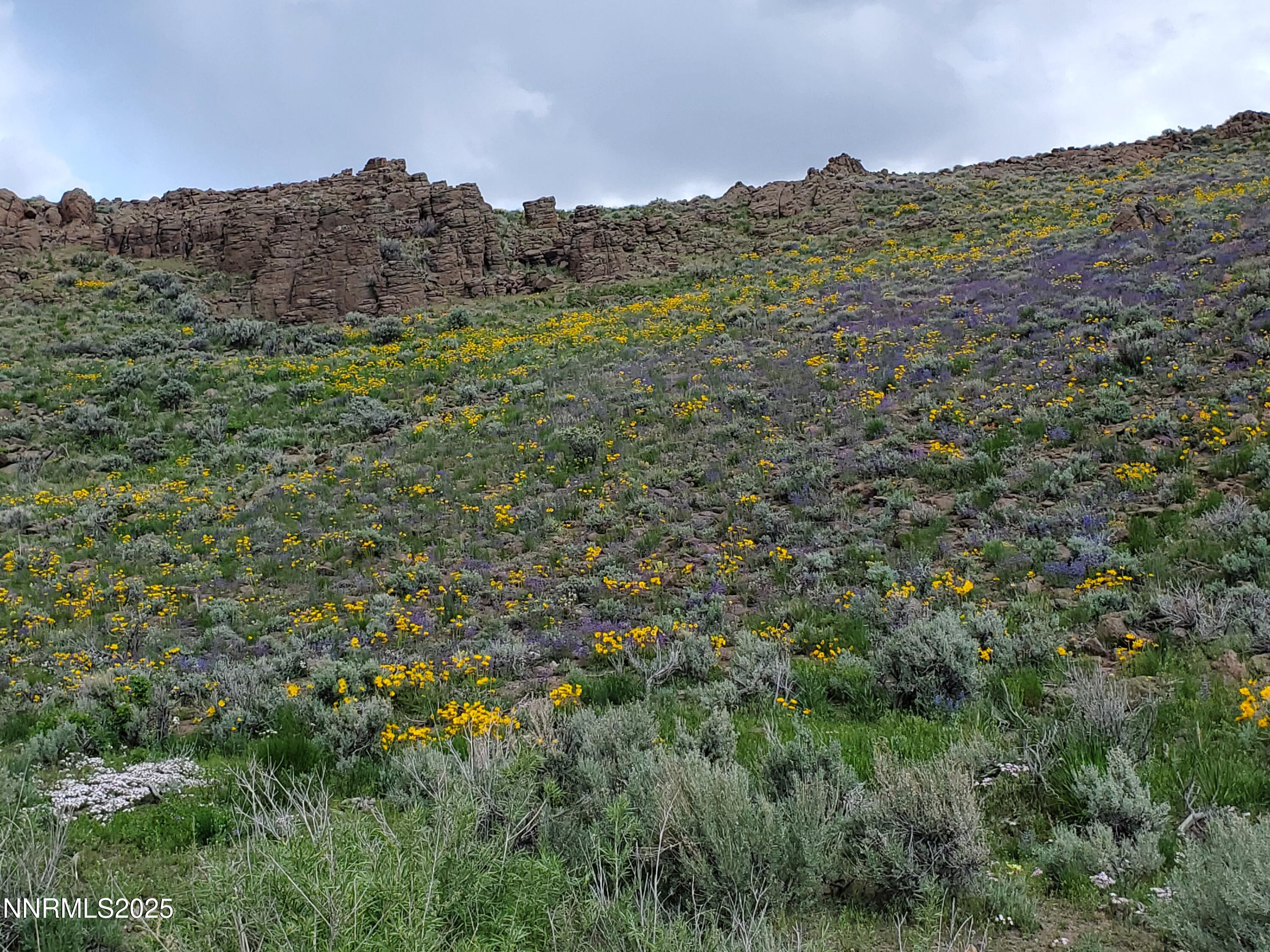3301 High Rock Road, Unit US HIGHWAY 34 NORTH OUT OF GERLACH TO HIGH ROCK RD Reno, NV 89510 - Photo 9 of 47 a view of a mountain range with lush green forest