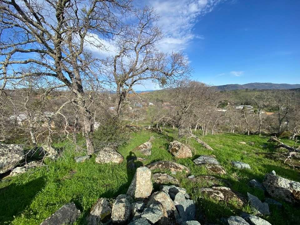 4241 Grisham Road Valley Springs, CA 95252 - Photo 11 of 22