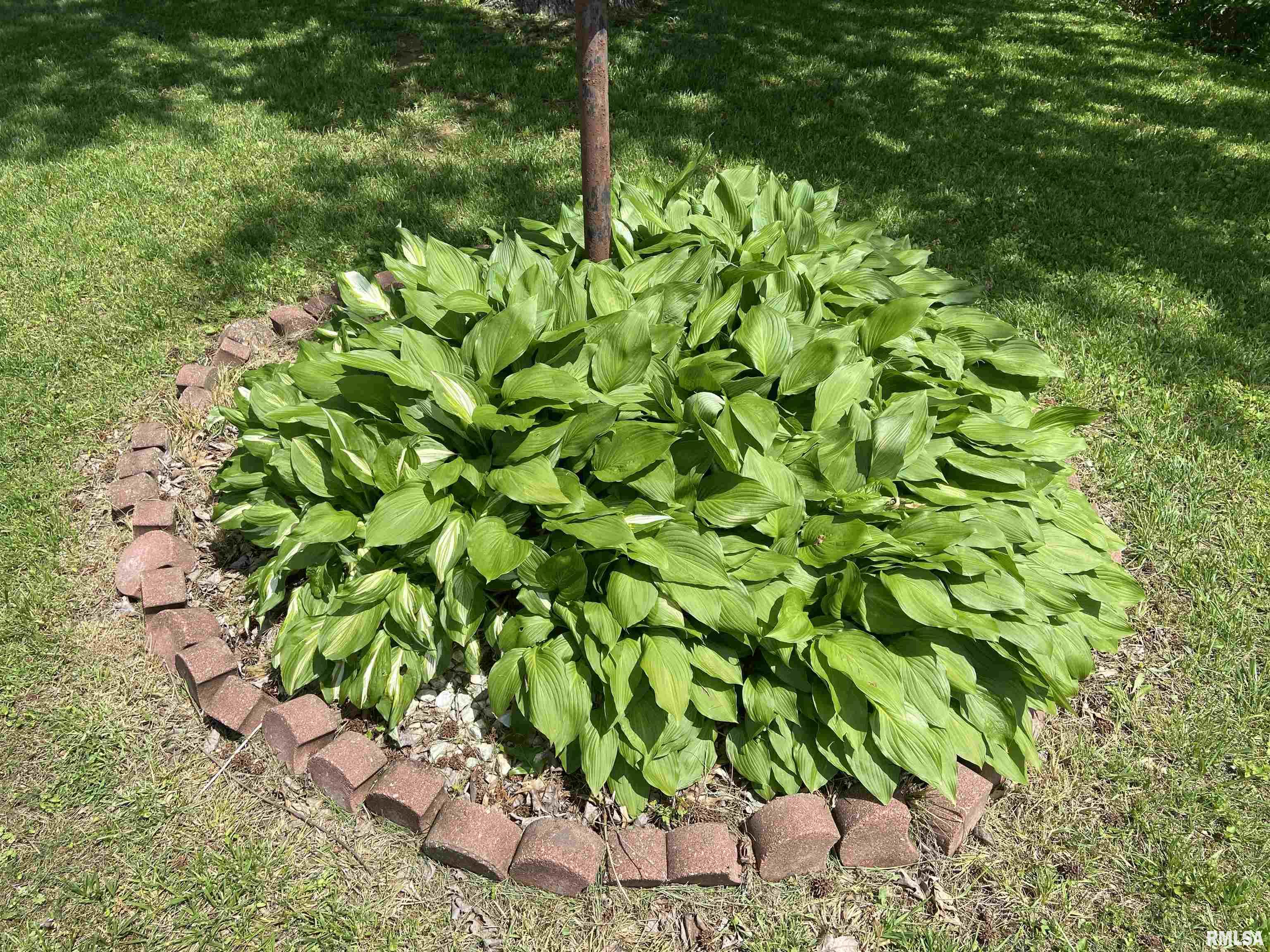 9798 Saraville Road Stonefort, IL 62987 - Photo 14 of 15