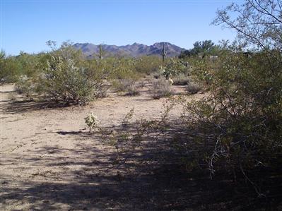 4612 North Old Ranch Road Tucson, AZ 85743 - Photo 7 of 10 Gallery Image 7