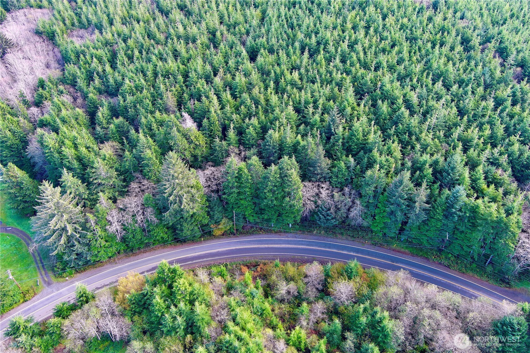 0 Copalis Beach Road Copalis Beach, WA 98535 - Photo 13 of 31