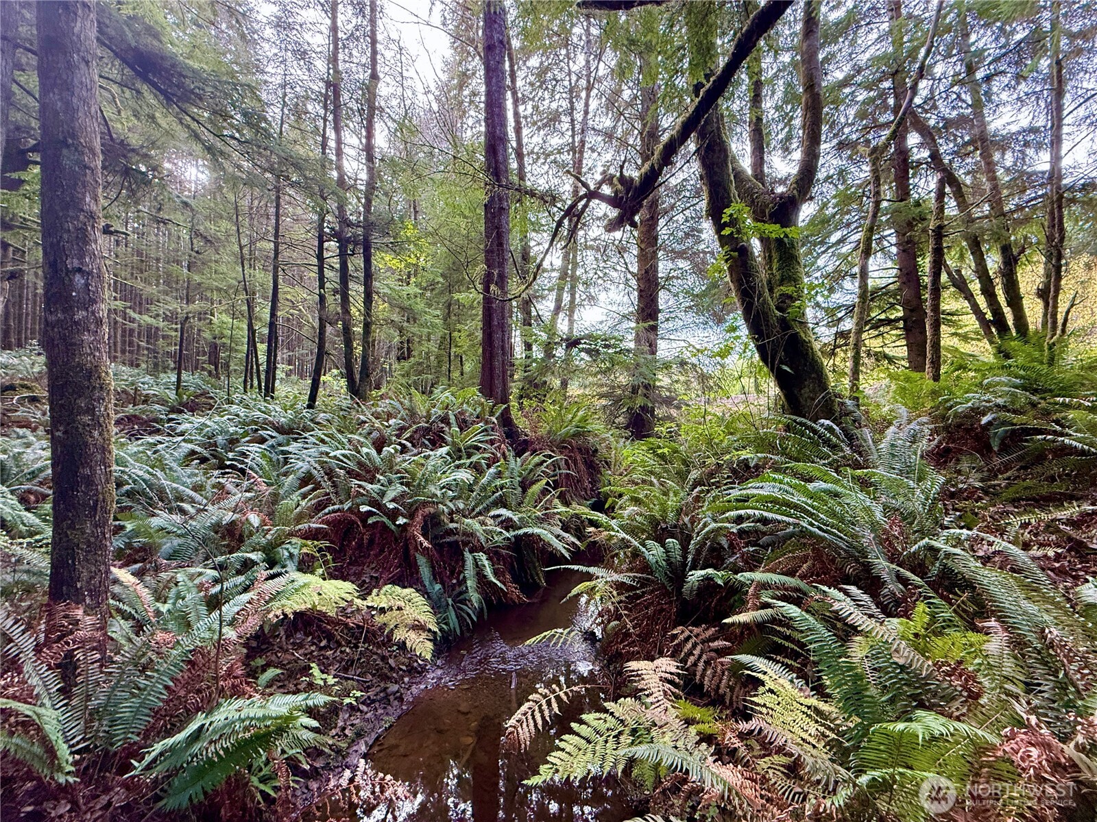 0 Copalis Beach Road Copalis Beach, WA 98535 - Photo 16 of 31