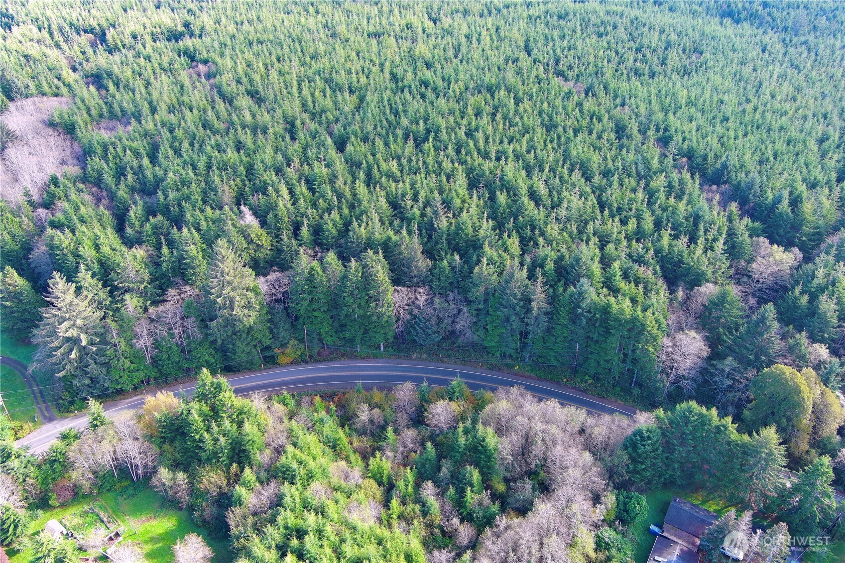 0 Copalis Beach Road Copalis Beach, WA 98535 - Photo 19 of 31