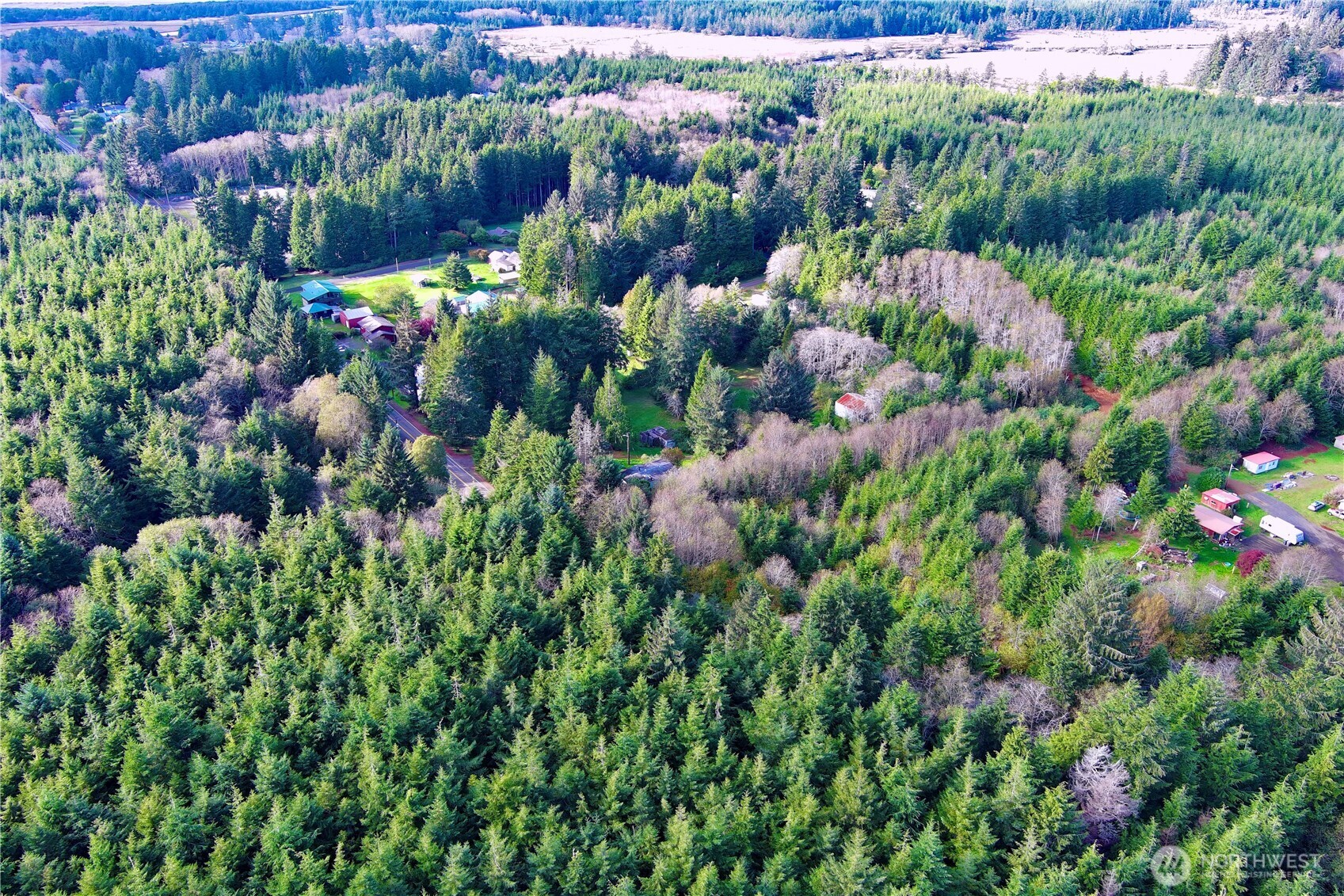 0 Copalis Beach Road Copalis Beach, WA 98535 - Photo 20 of 31