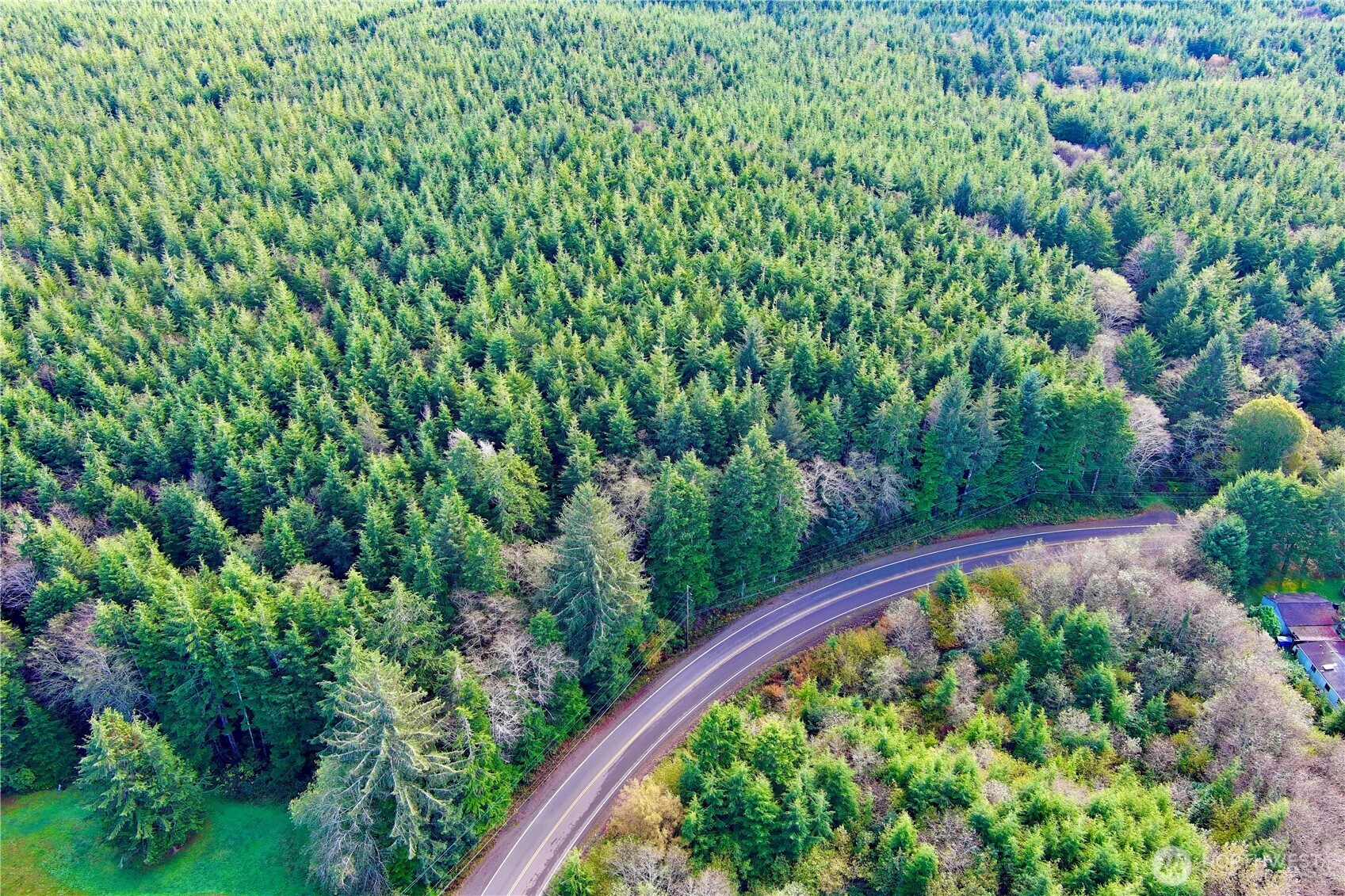 0 Copalis Beach Road Copalis Beach, WA 98535 - Photo 21 of 31