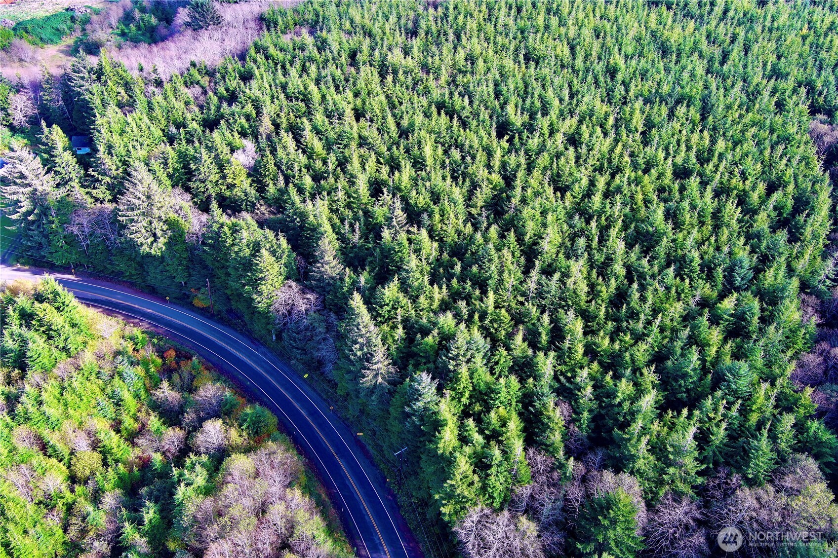 0 Copalis Beach Road Copalis Beach, WA 98535 - Photo 22 of 31