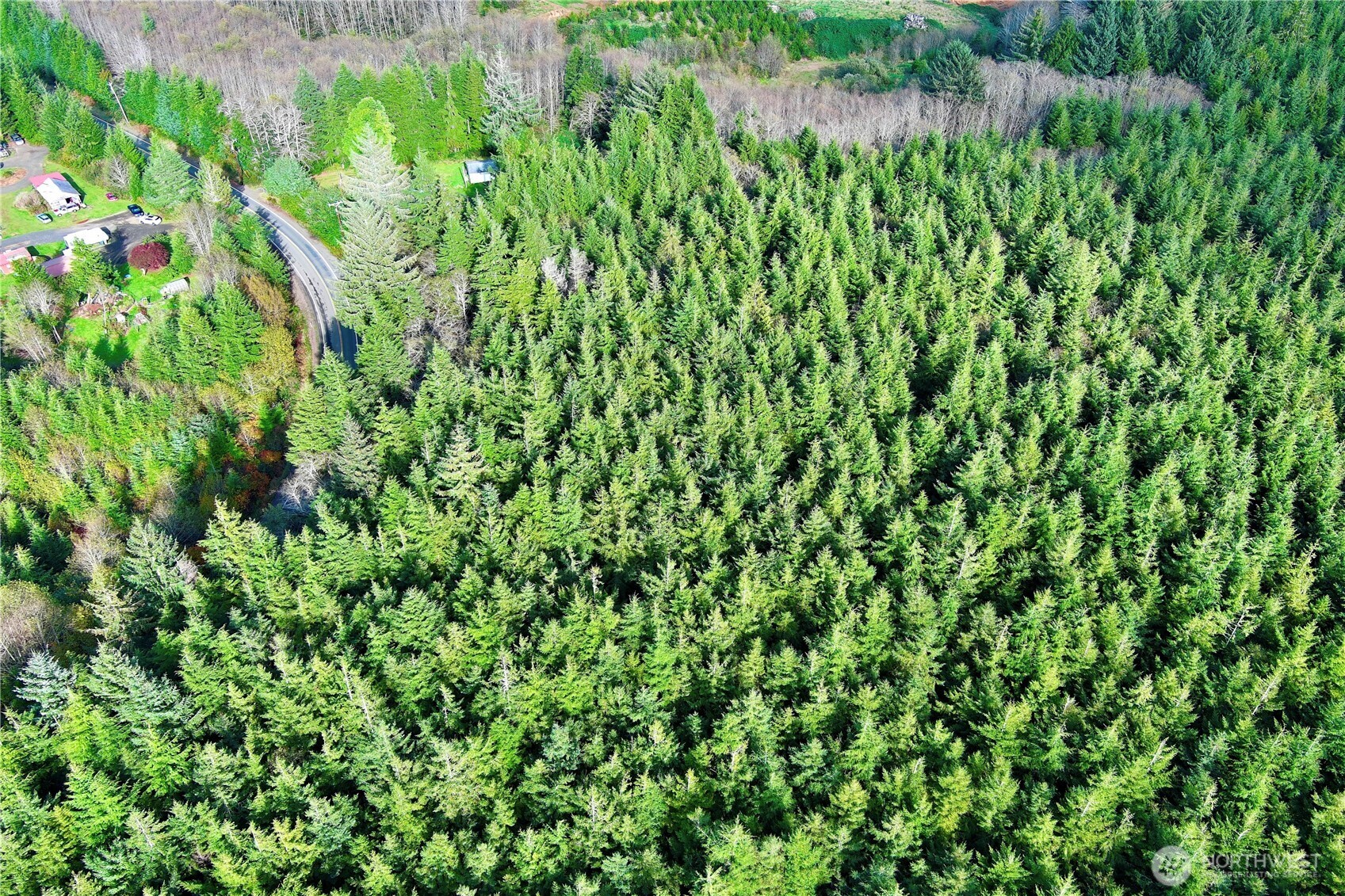 0 Copalis Beach Road Copalis Beach, WA 98535 - Photo 23 of 31