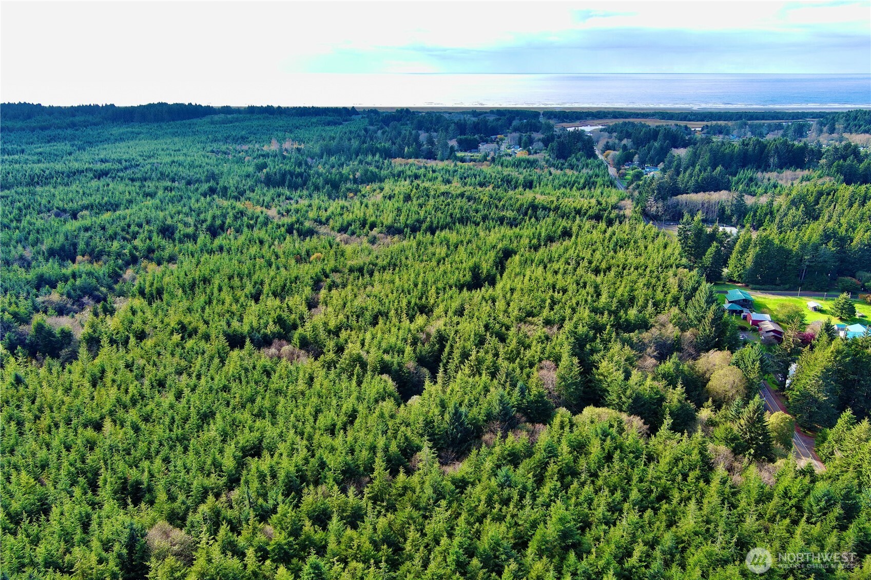 0 Copalis Beach Road Copalis Beach, WA 98535 - Photo 24 of 31