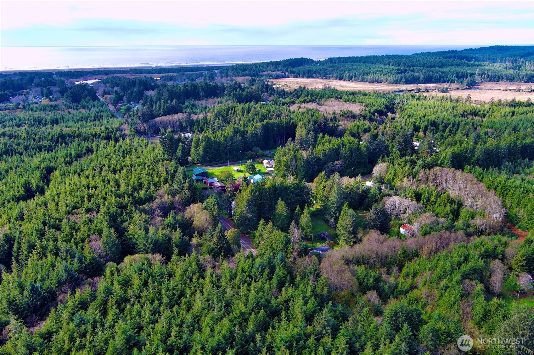 0 Copalis Beach Road Copalis Beach, WA 98535 - Photo 30 of 31