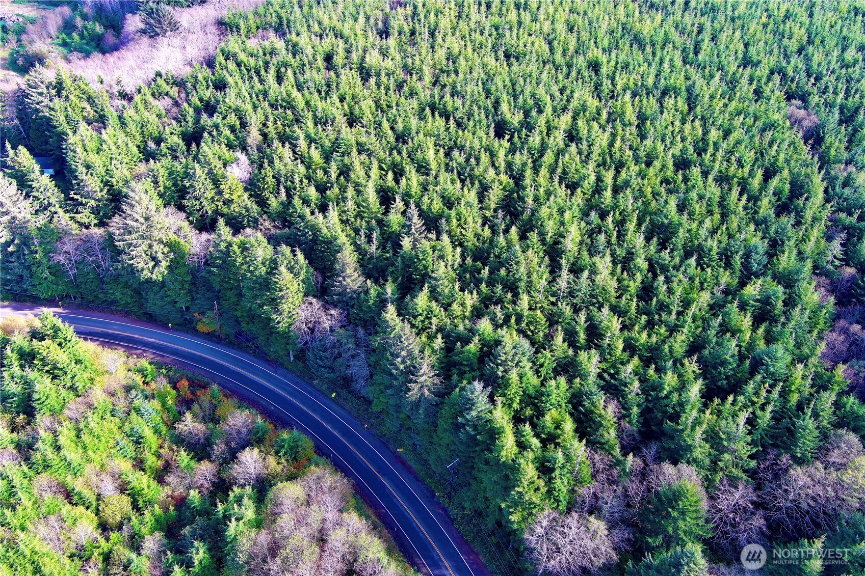 0 Copalis Beach Road Copalis Beach, WA 98535 - Photo 3 of 31