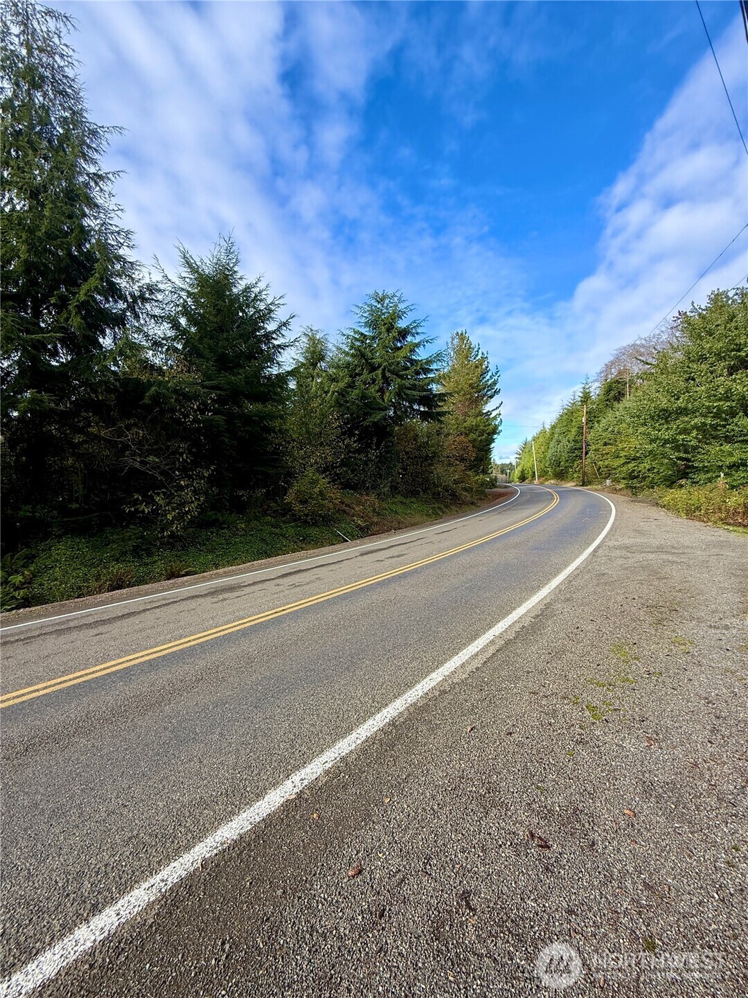 0 Copalis Beach Road Copalis Beach, WA 98535 - Photo 5 of 31