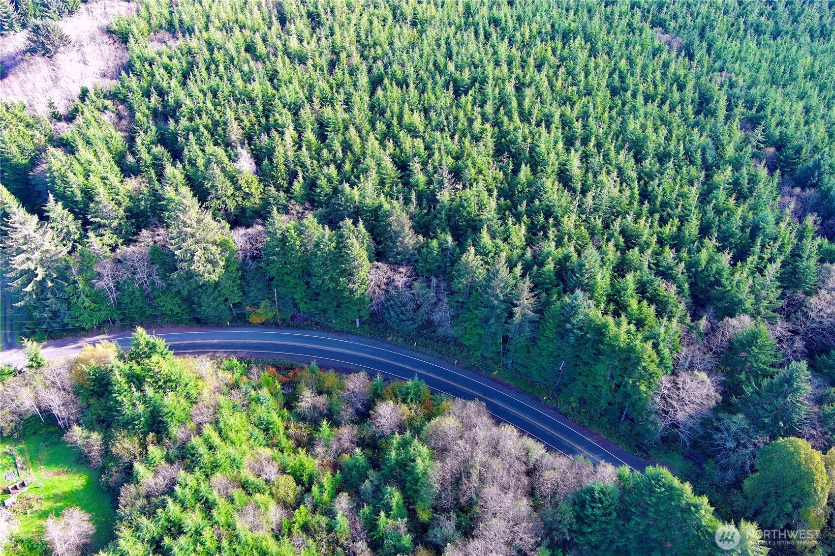0 Copalis Beach Road Copalis Beach, WA 98535 - Photo 9 of 31