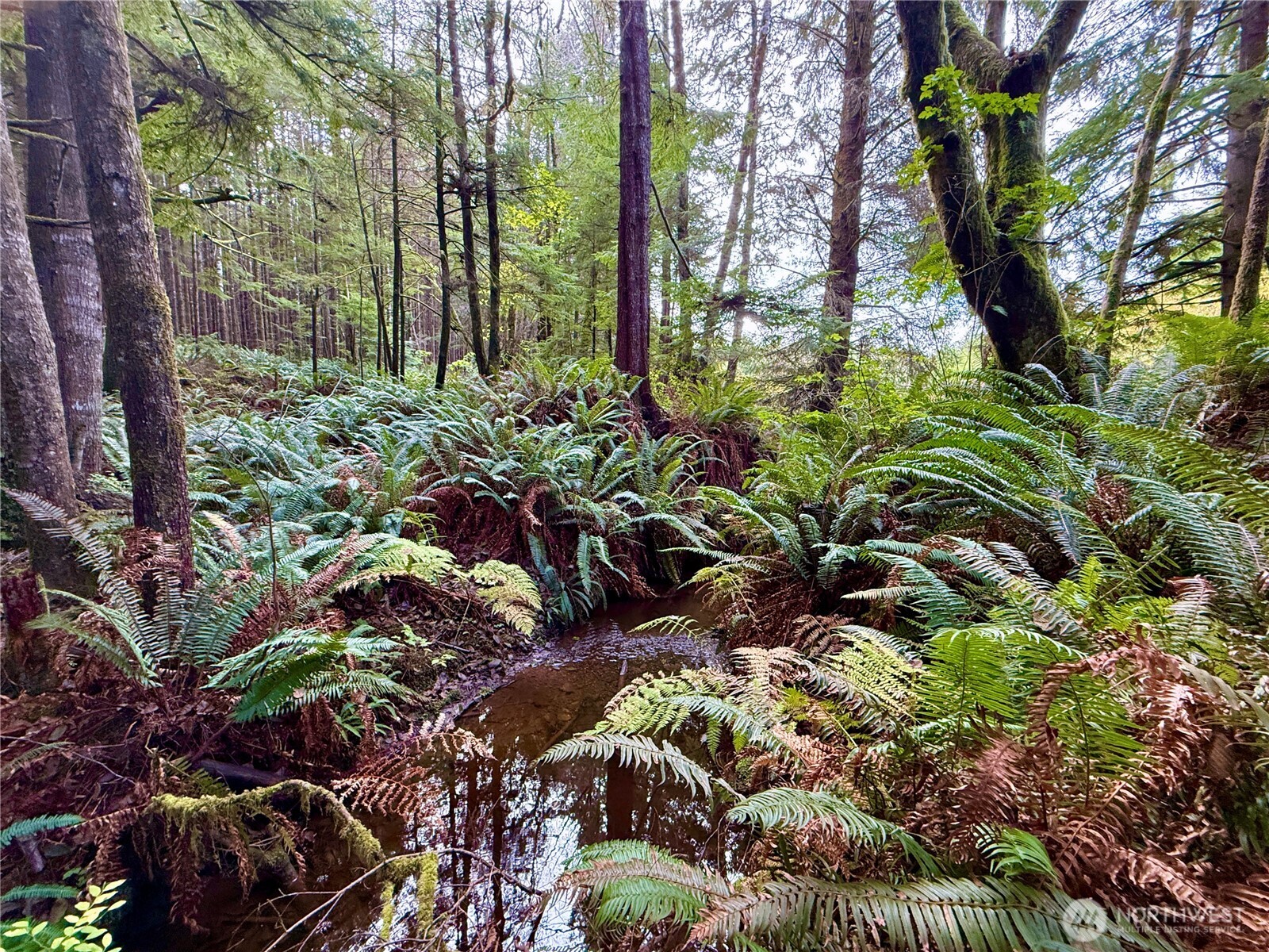 0 Copalis Beach Road Copalis Beach, WA 98535 - Photo 10 of 31