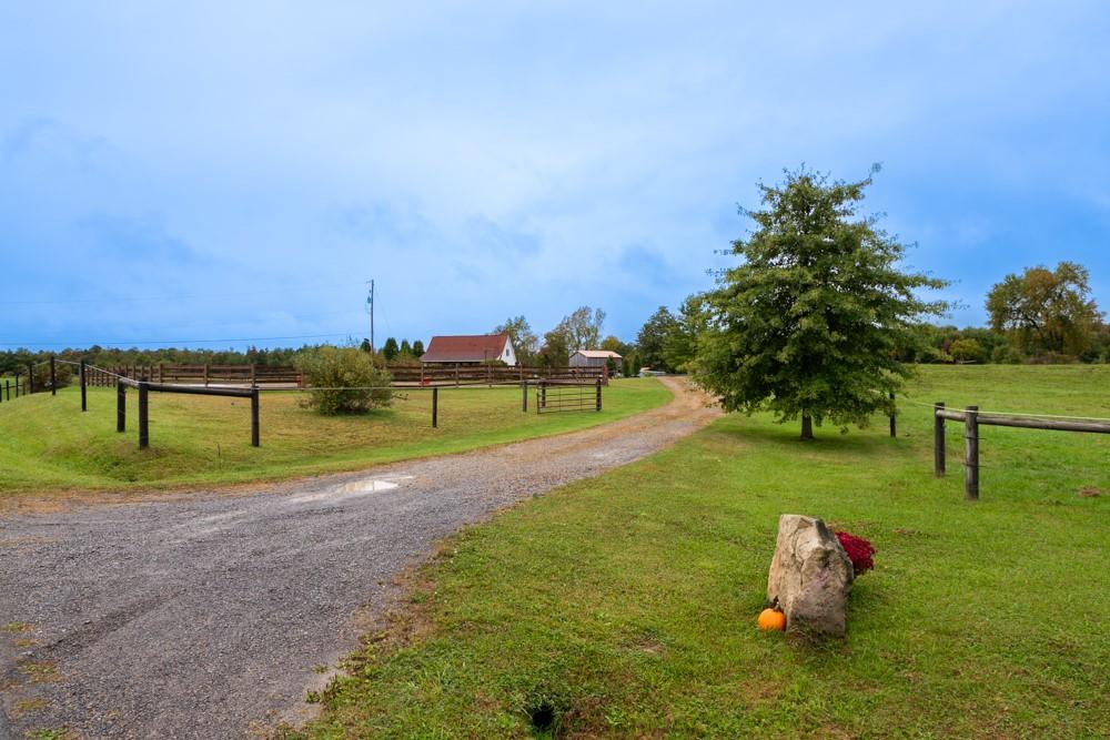 11 Fairgrounds Road Stoneboro, PA 16153 - Photo 22 of 37 a green field with lots of tress in it