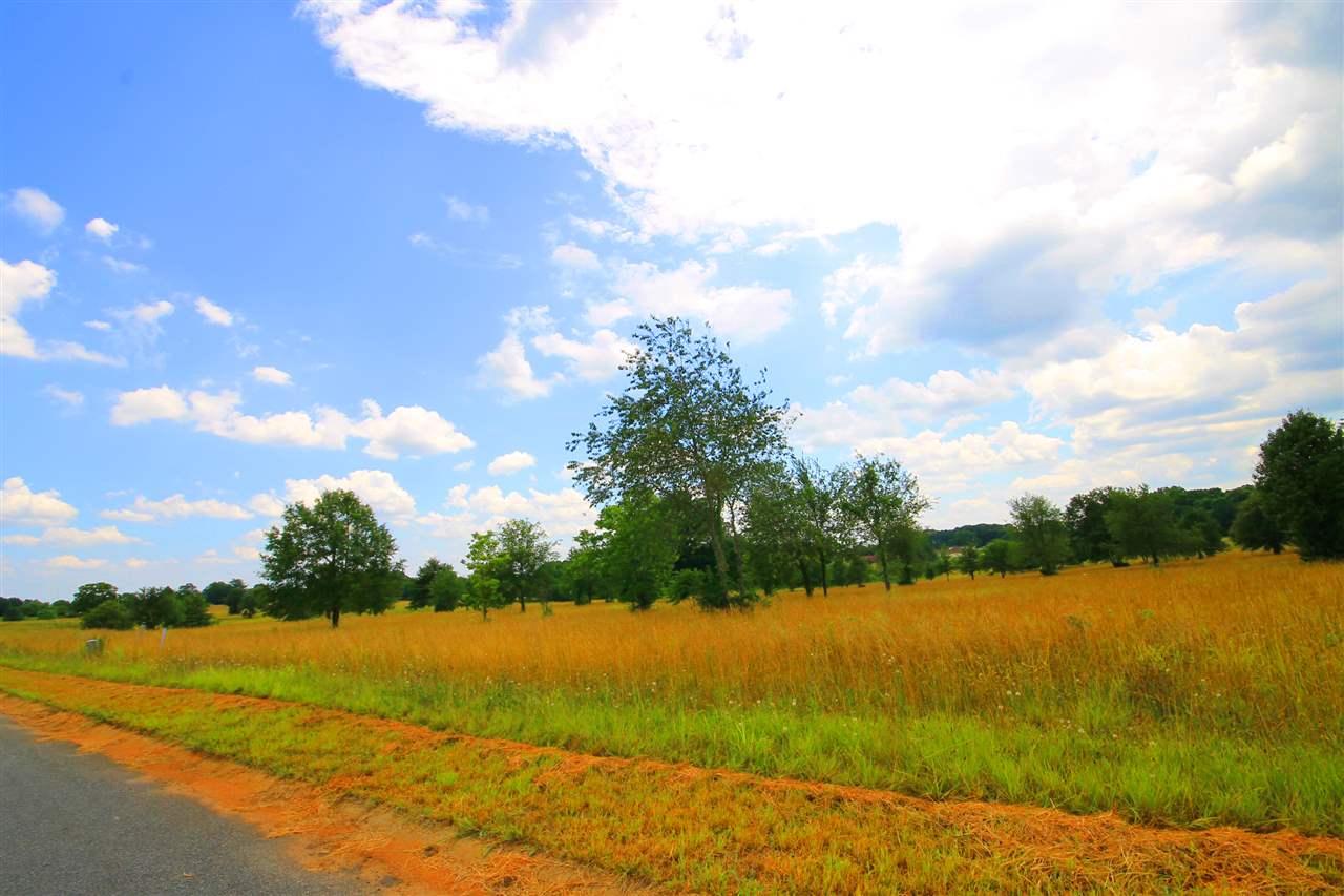 408 Bradburn Fields Inman, SC 29349 - Photo 9 of 11 Gallery Image 9