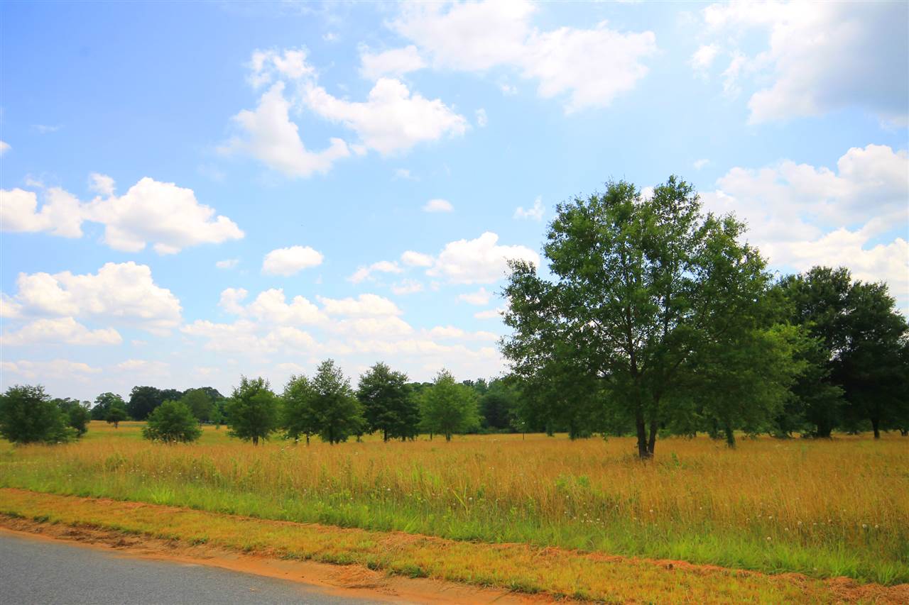 408 Bradburn Fields Inman, SC 29349 - Photo 10 of 11 Gallery Image 10