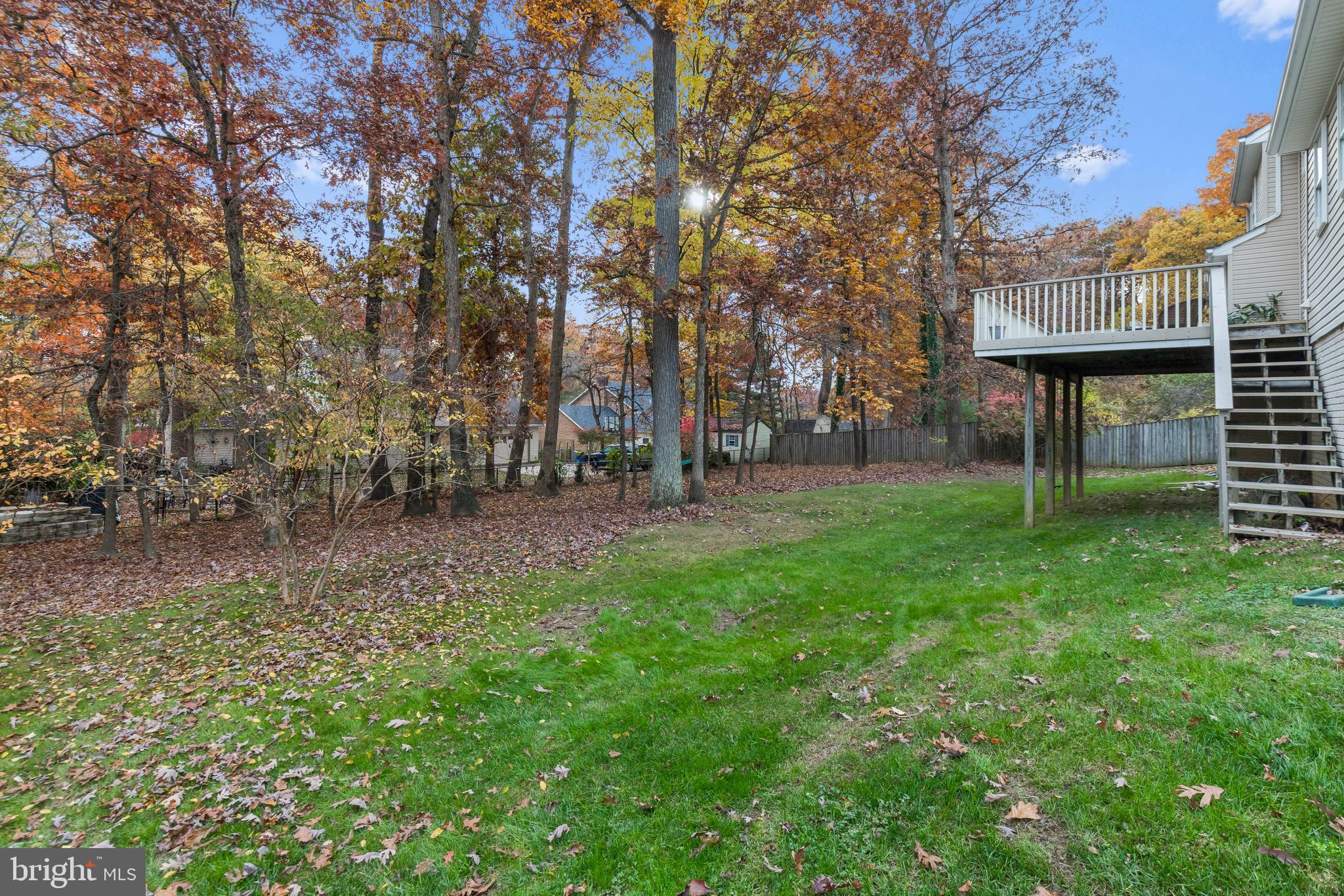 15528 Thompson Road Silver Spring, MD 20905 - Photo 67 of 70 Backyard