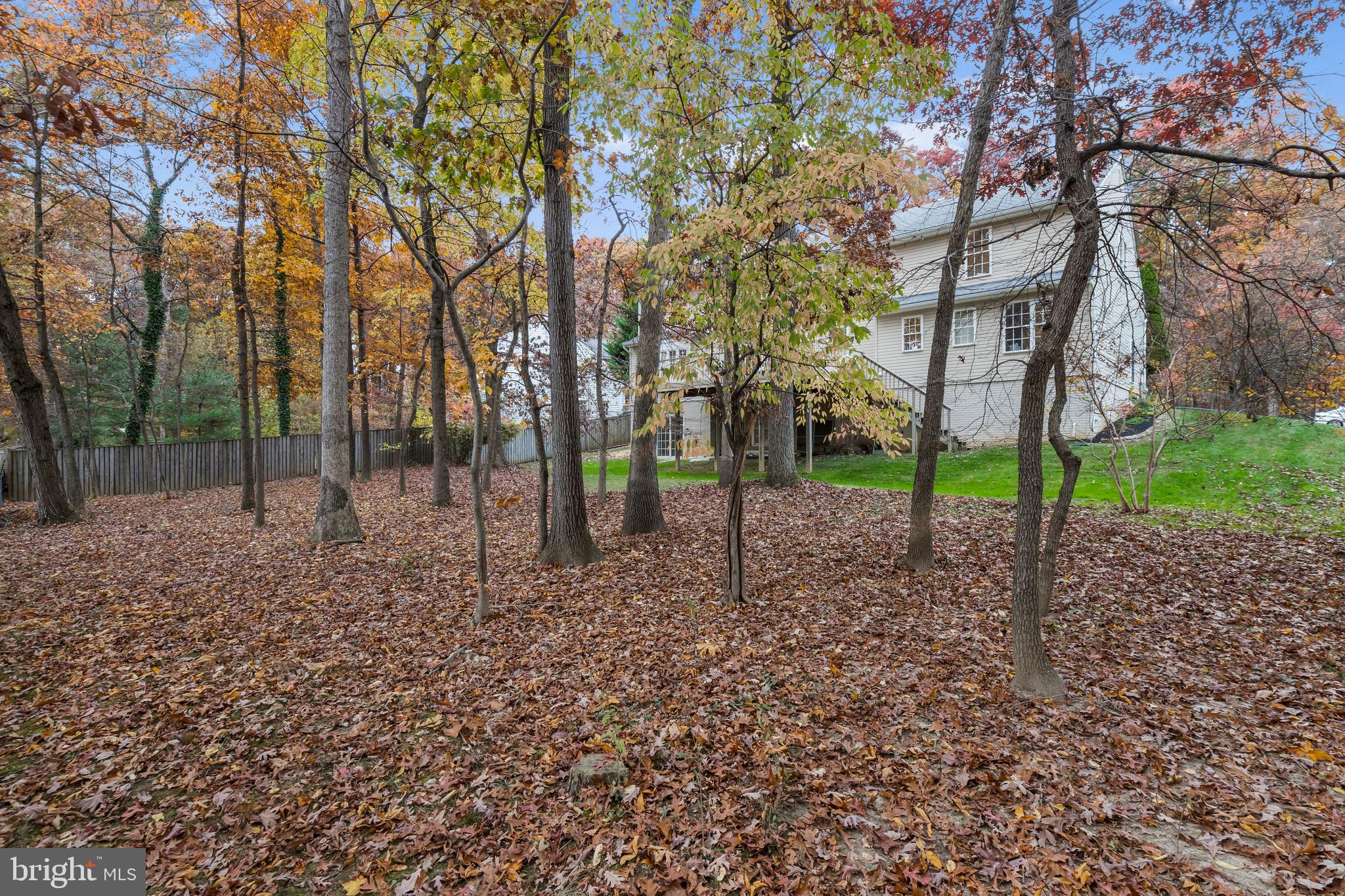 15528 Thompson Road Silver Spring, MD 20905 - Photo 70 of 70 Backyard