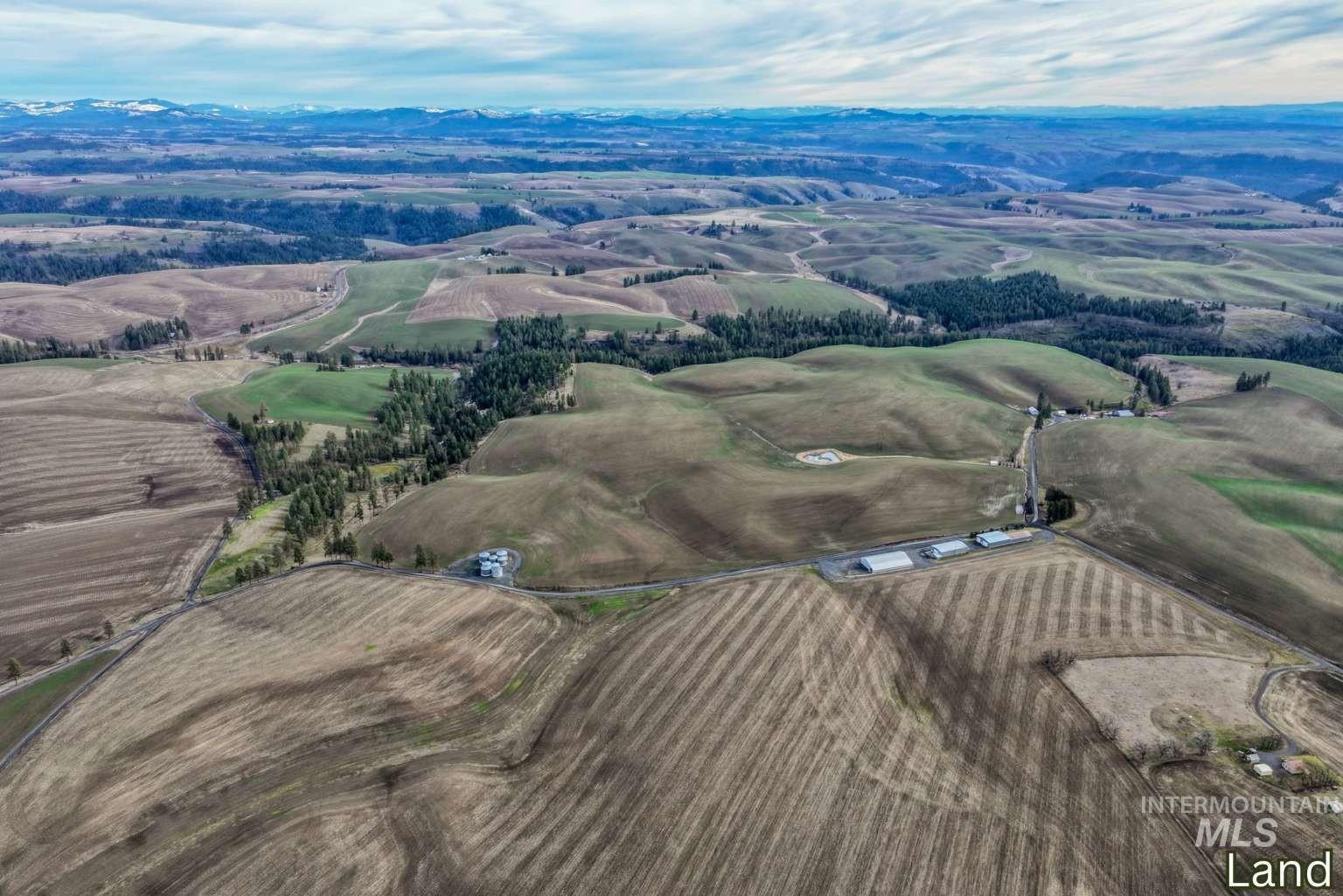 1040 Driscoll Ridge Road Troy, ID 83871 - Photo 1 of 31 Gallery Image 1