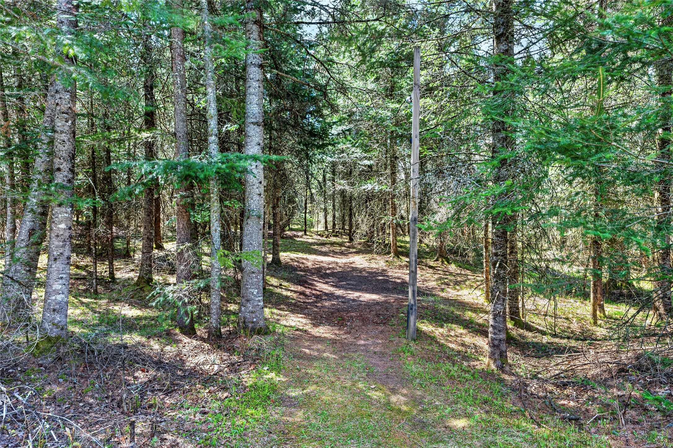 8225 Blaisdell Lake Road Winter, WI 54896 - Photo 57 of 58