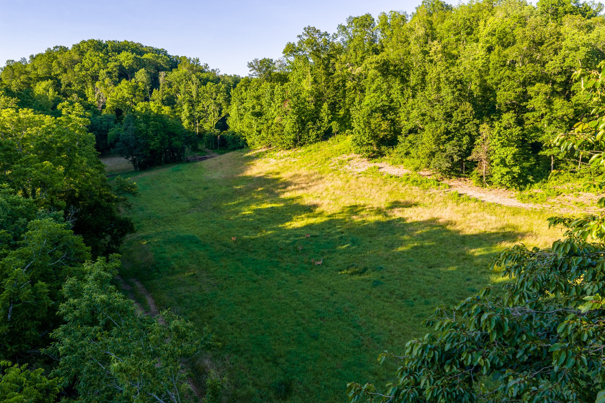 2073 Dog Branch Road Prospect, TN 38477 - Photo 36 of 59