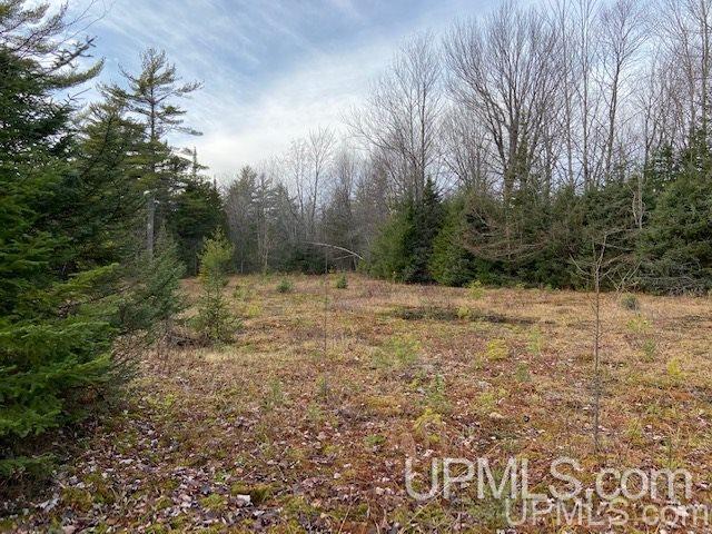 5994 Linden Road Manistique, MI 49854 - Photo 4 of 13 Gallery Image 4
