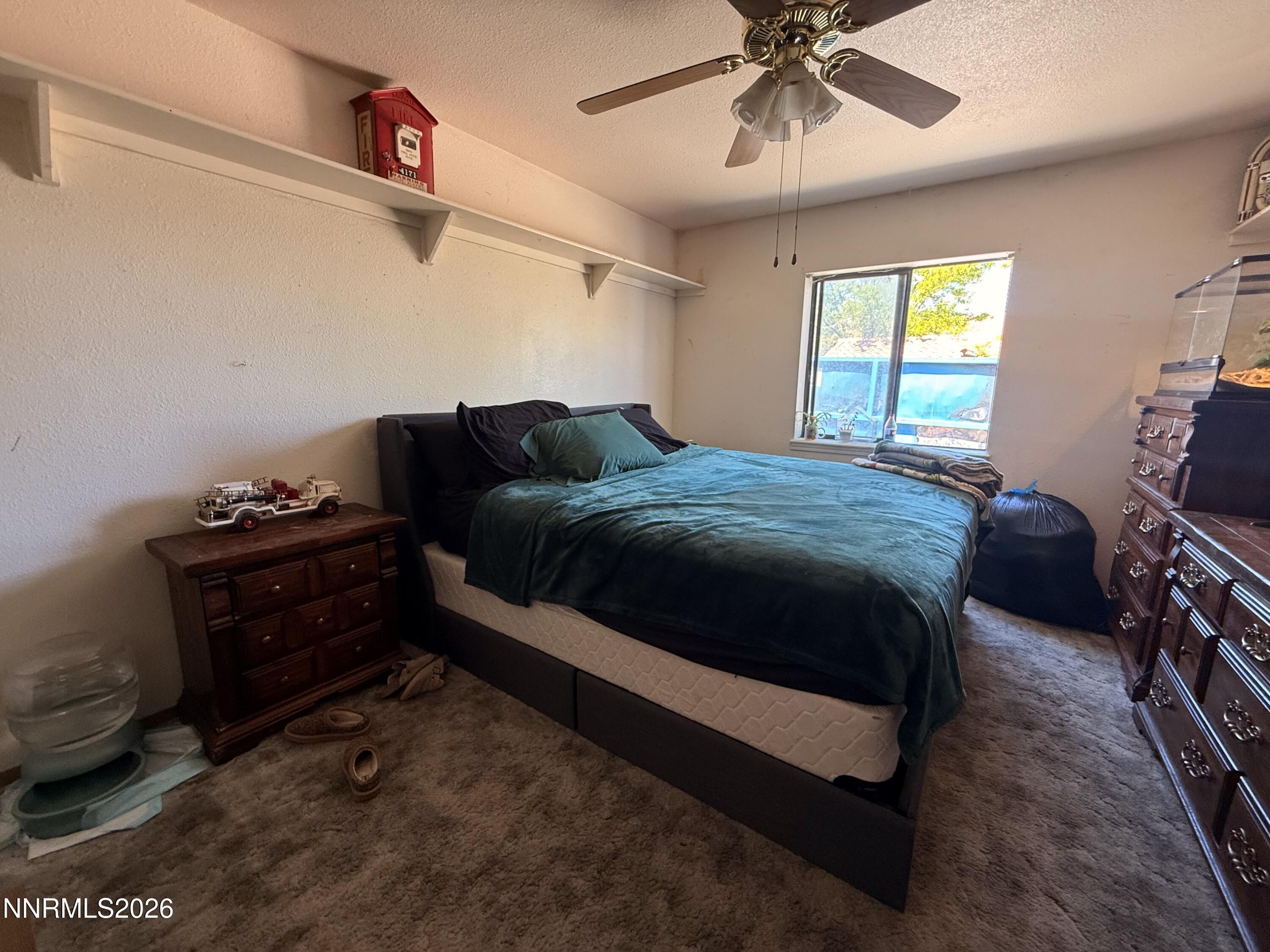 957 Ronald Way Fallon, NV 89406 - Photo 12 of 25 IMG_5130