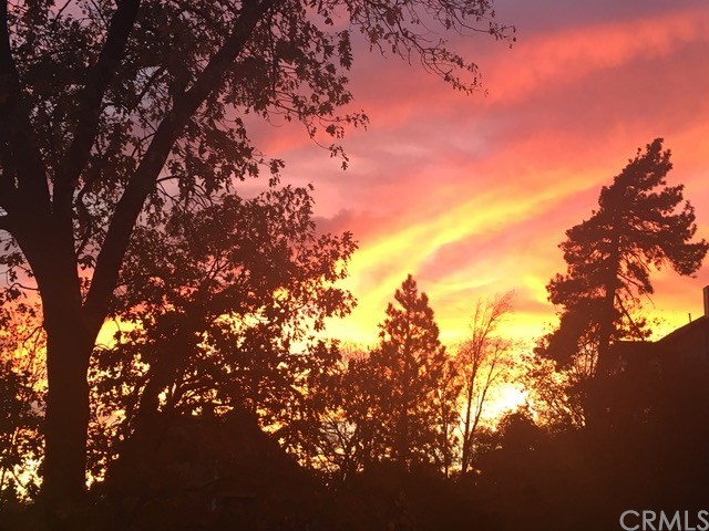 1010 Black Oaks Drive Lake Arrowhead, CA 92352 - Photo 49 of 52 a view of tree