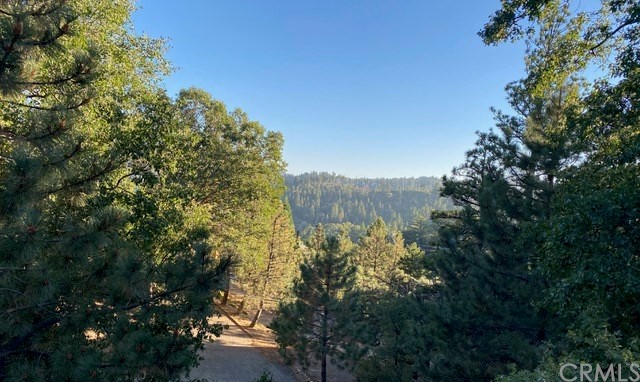 1010 Black Oaks Drive Lake Arrowhead, CA 92352 - Photo 52 of 52 a view of a forest with a tree in the background