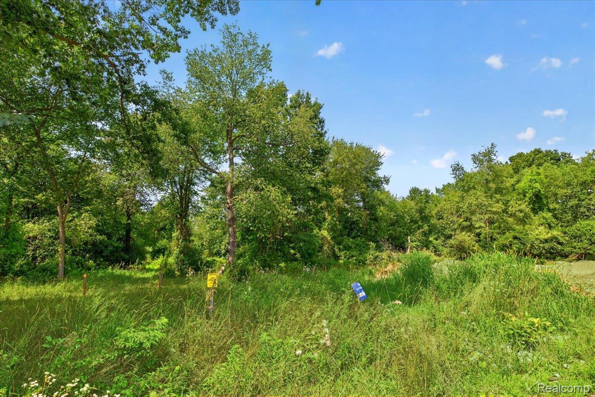 5000 Metamora Ridge Road Metamora, MI 48455 - Photo 13 of 23 05-2026.08.10_Acloutier_5000-5005Metamoraridge398.jpg