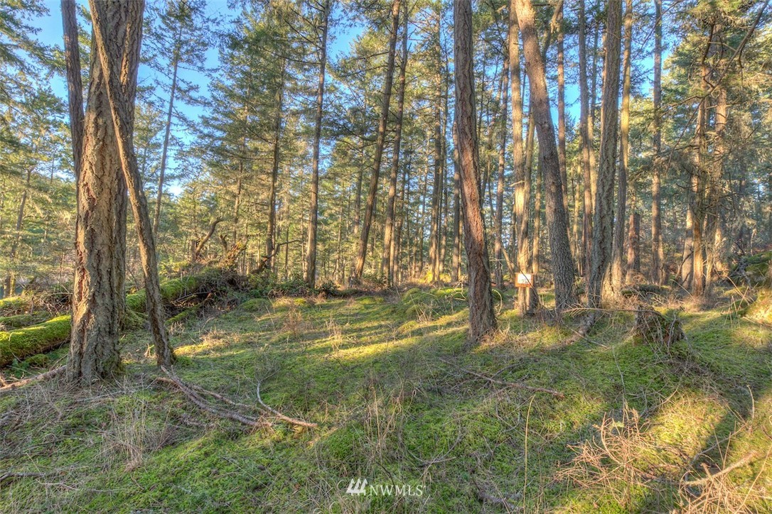 4 Spring Point Road Deer Harbor, WA 98243 - Photo 1 of 13 Gallery Image 1