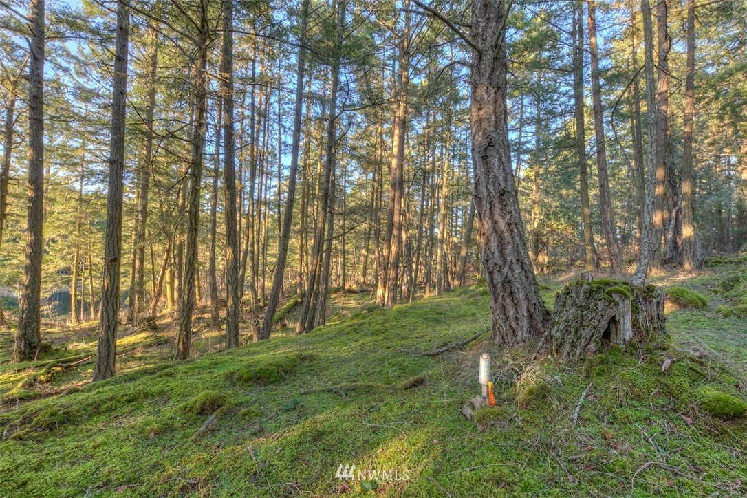 4 Spring Point Road Deer Harbor, WA 98243 - Photo 2 of 13 Gallery Image 2