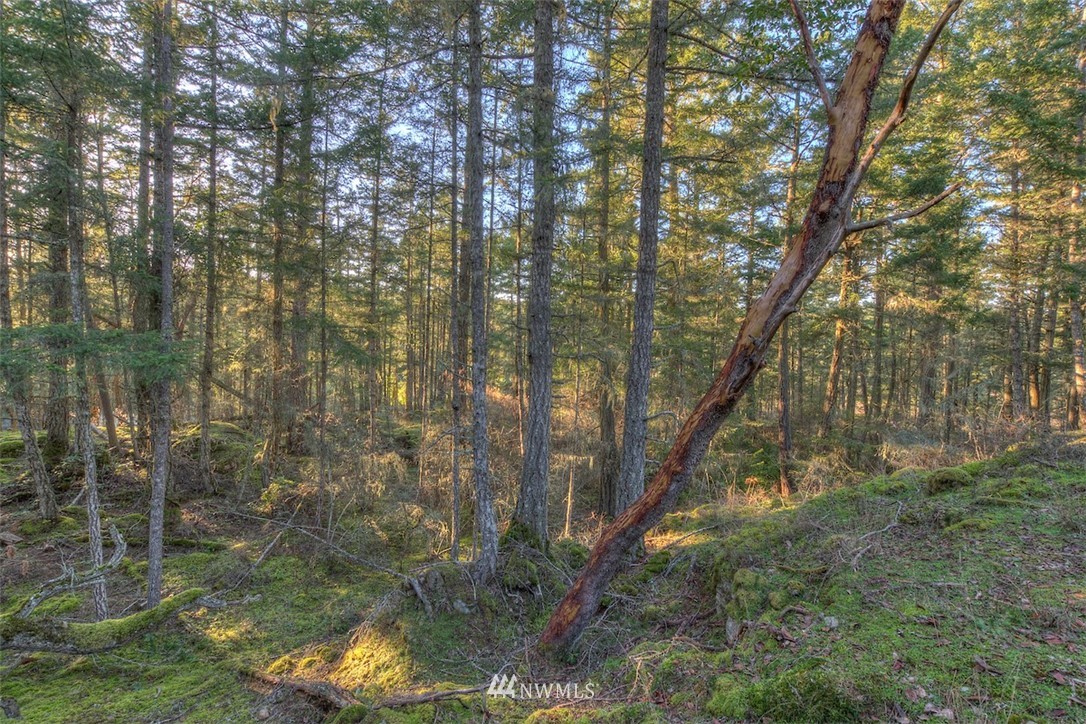 4 Spring Point Road Deer Harbor, WA 98243 - Photo 5 of 13 Gallery Image 5